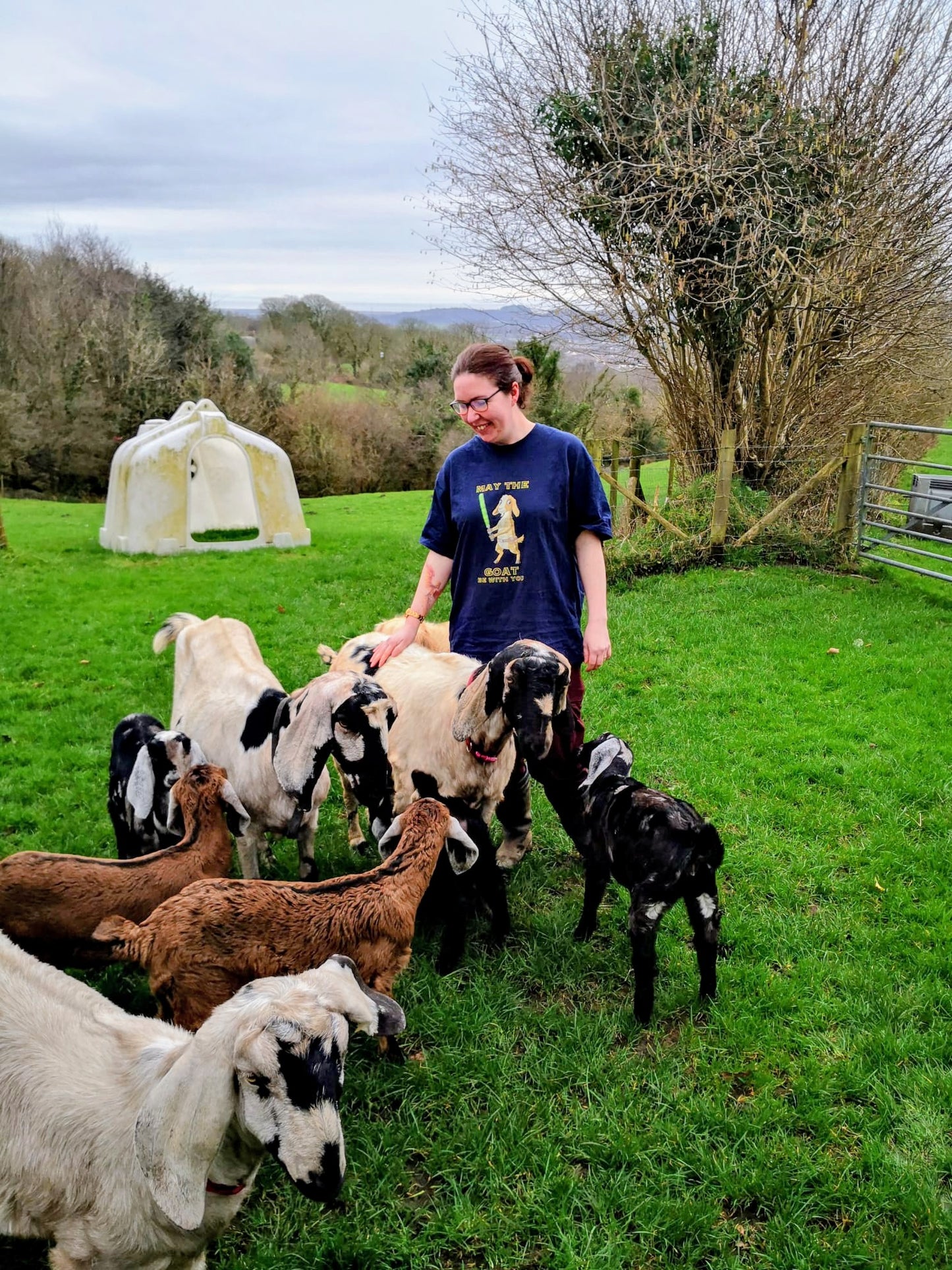 May the goat be with you - funny Anglo nubian goat tees meets Star Wars
