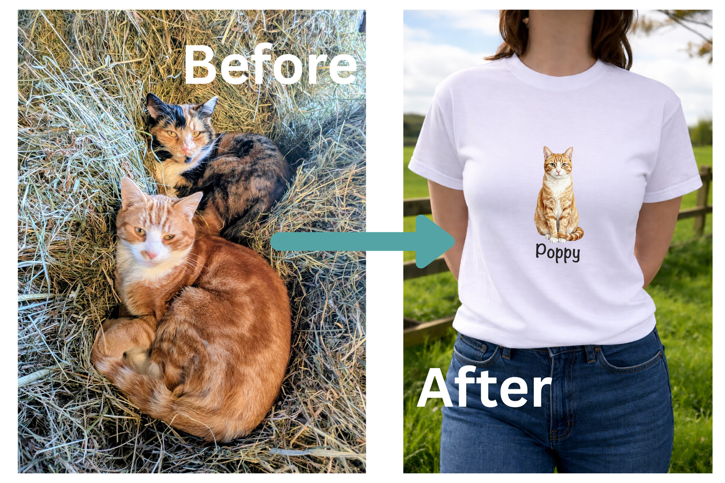 Before and after comparison of a ginger cat and a person wearing a t-shirt with a the same ginger cat design.