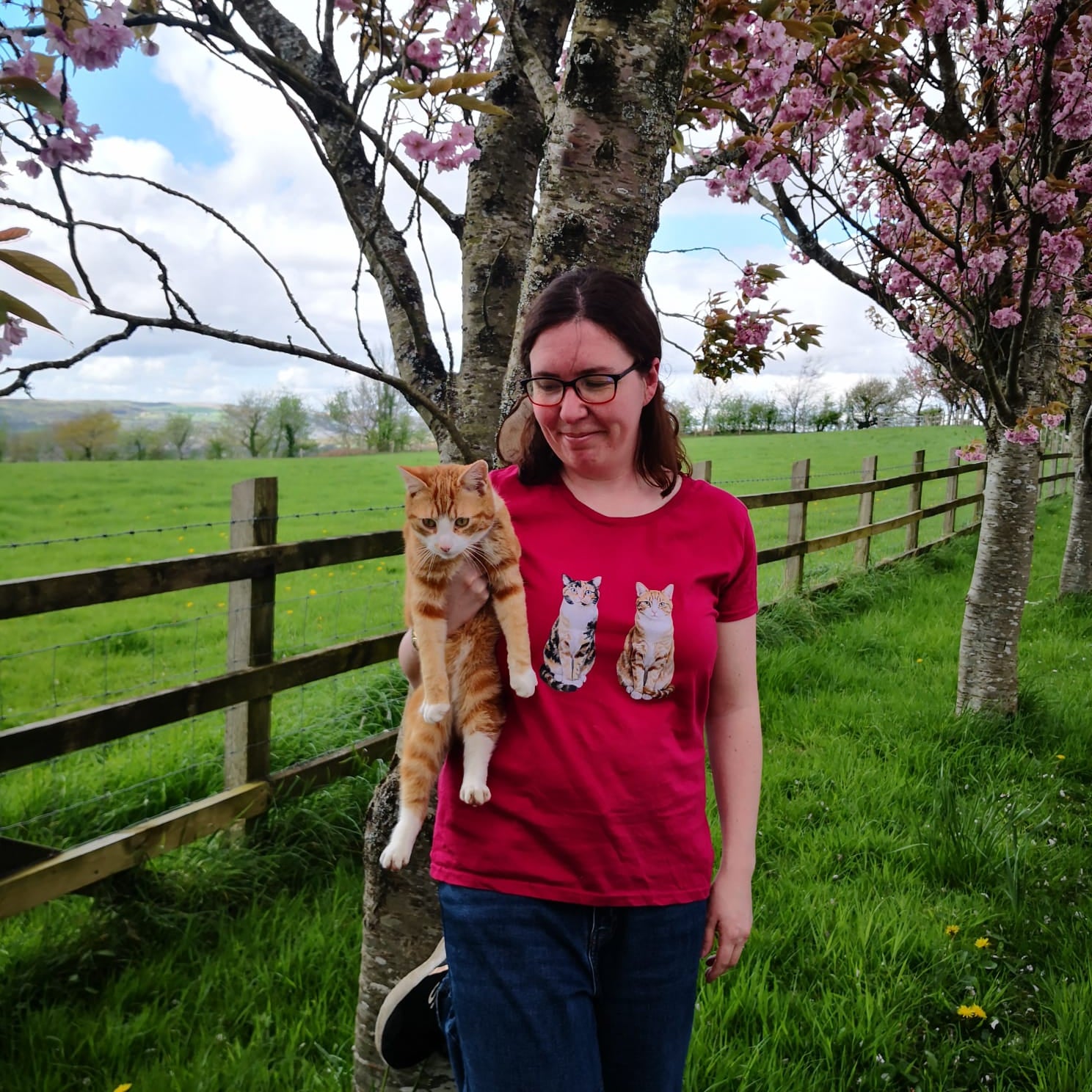 Person holding an orange cat in a field with cherry blossom trees